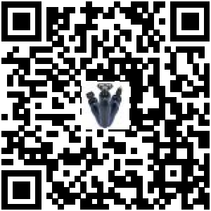 Code QR du produit