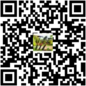 Code QR du produit