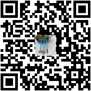 Code QR du produit