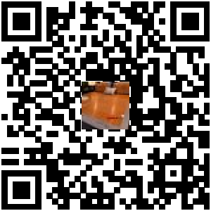 Code QR du produit