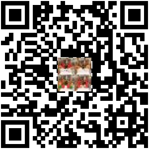 Code QR du produit