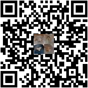 Code QR du produit