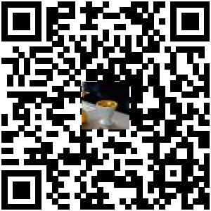 Code QR du produit