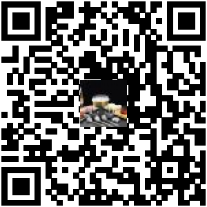 Code QR du produit