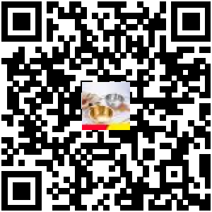 Code QR du produit