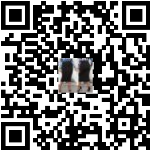 Code QR du produit