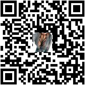 Code QR du produit