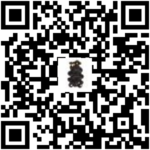Code QR du produit