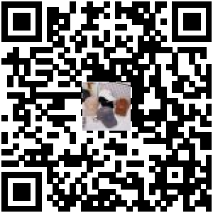 Code QR du produit