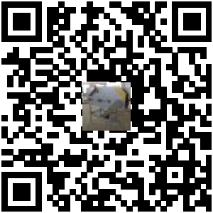 Code QR du produit