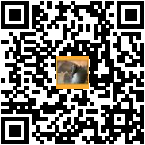 Code QR du produit