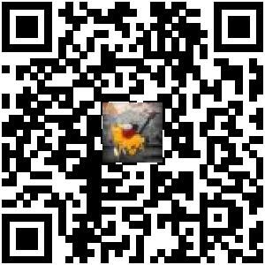 Code QR du produit