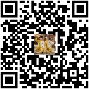 Code QR du produit