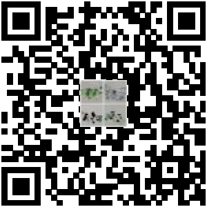 Code QR du produit