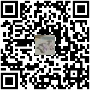 Code QR du produit