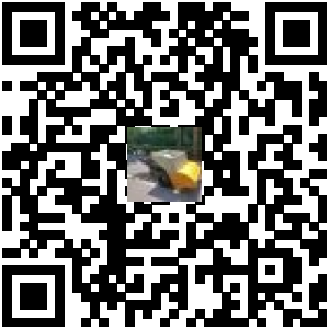 Code QR du produit