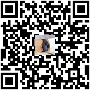 Code QR du produit