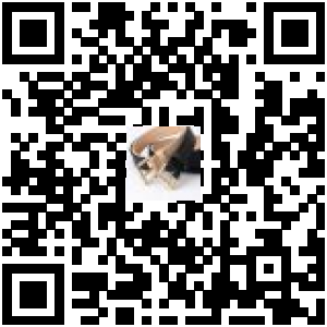 Code QR du produit